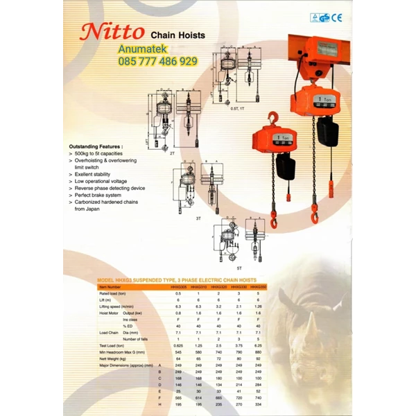 Electric Chain Hoist Nitto 1 Ton x 12 Meter 3Phase 220V