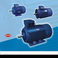 ELECTRIC MOTOR BOLOGNA 30Kw 40Hp B3 4Pole 3Phase