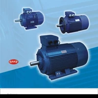 ELECTRIC MOTOR BOLOGNA 55Kw 75Hp B5 6Pole 3Phase