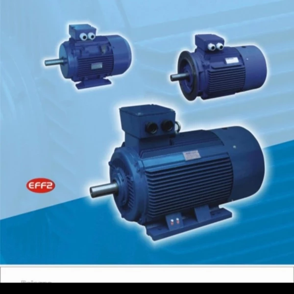 ELECTRIC MOTOR BOLOGNA 45Kw 60Hp B5 6Pole 3Phase